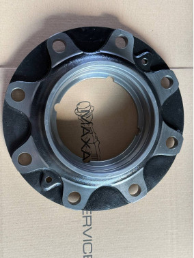 112.06.049.01 Диск ступиці DANA