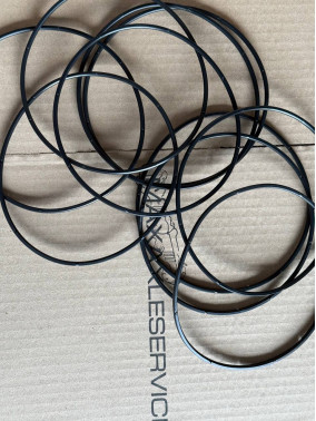 112.07.009.02 Кільце гумове DANA