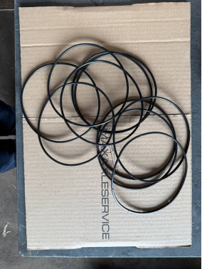 176.07.029.01 Кільце гумове DANA