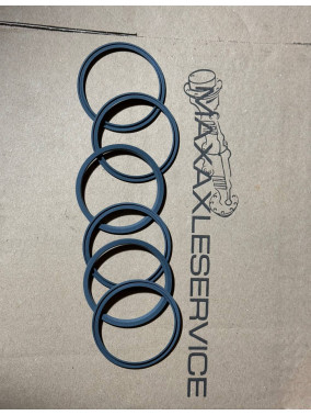 234113 Кільце DANA